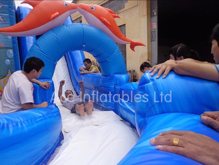  Inflatable Slide Bouncy Castle3