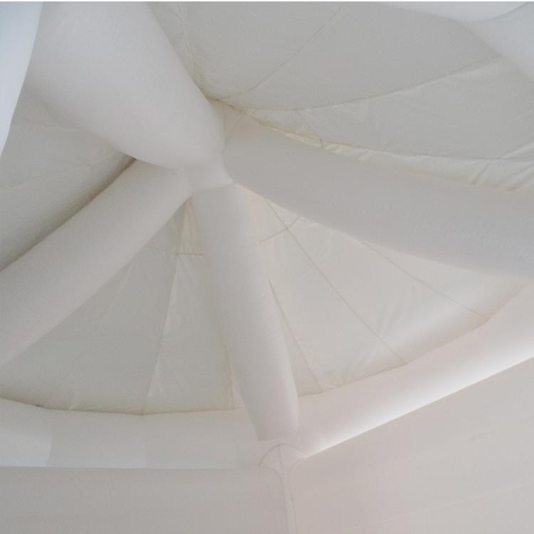 Wedding Bouncy Castle3