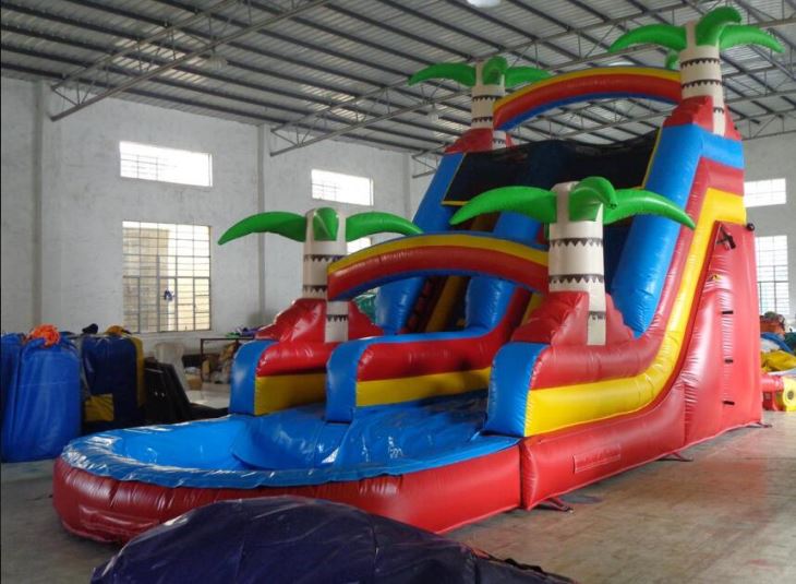 red palm tree pool water slide 4